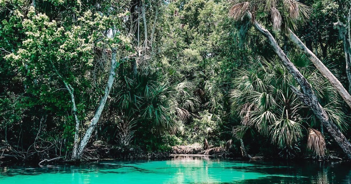 Guide to Rainbow Springs State Park | Ocala / Marion County Florida