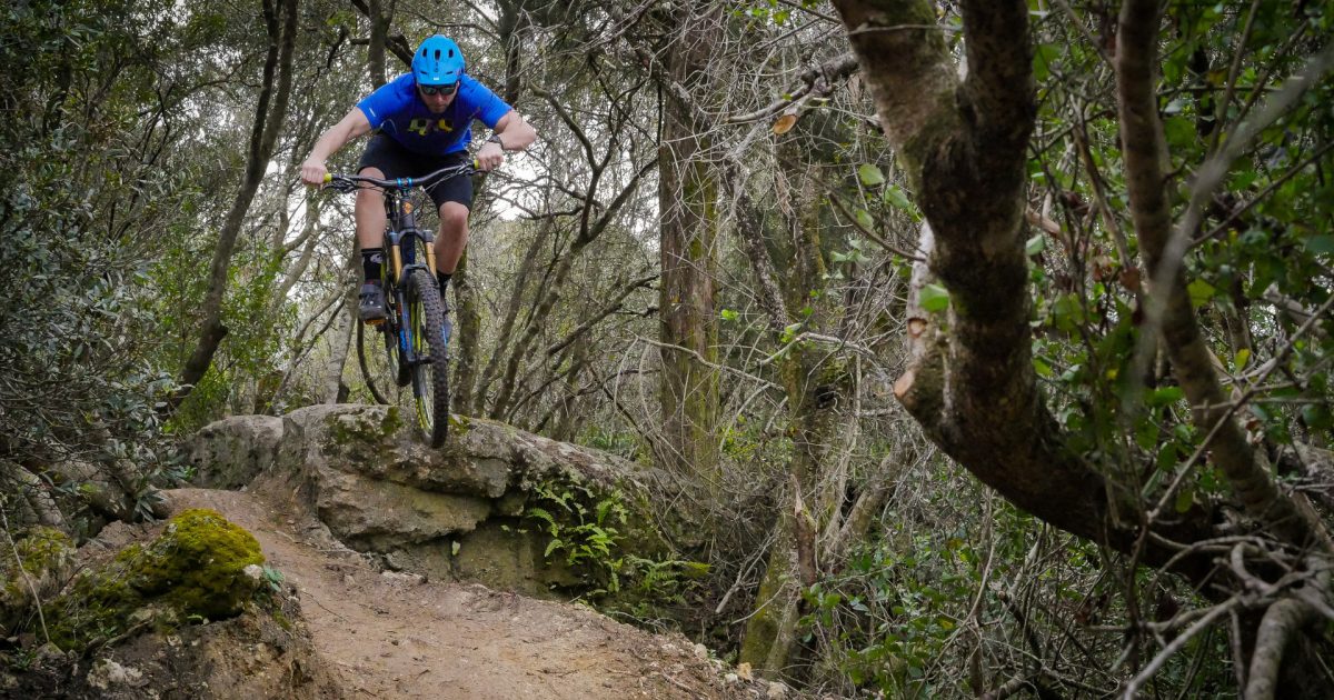 Santos ocala discount mountain bike trail